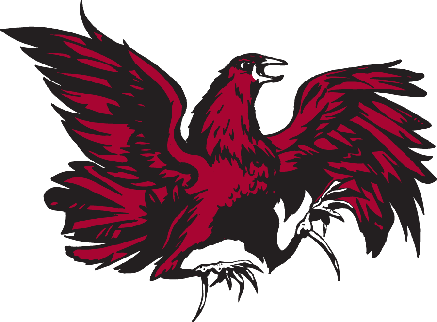 South Carolina Gamecocks Logo History