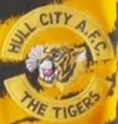 Hull City home 1992  Hull city, Hull, Club color