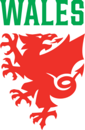 Wales Kit History - Football Kit Archive
